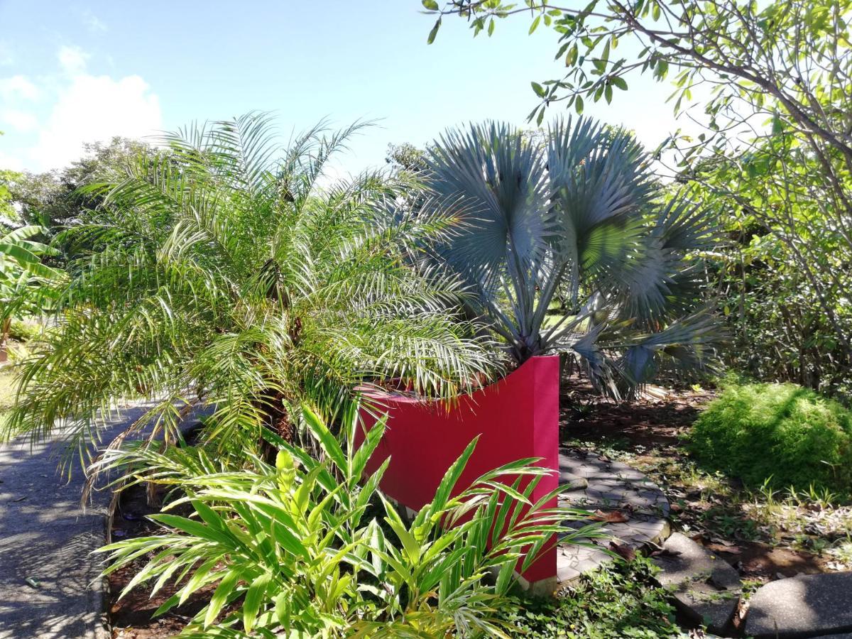 Punta Duarte Garden Inn Los Duarte Ngoại thất bức ảnh