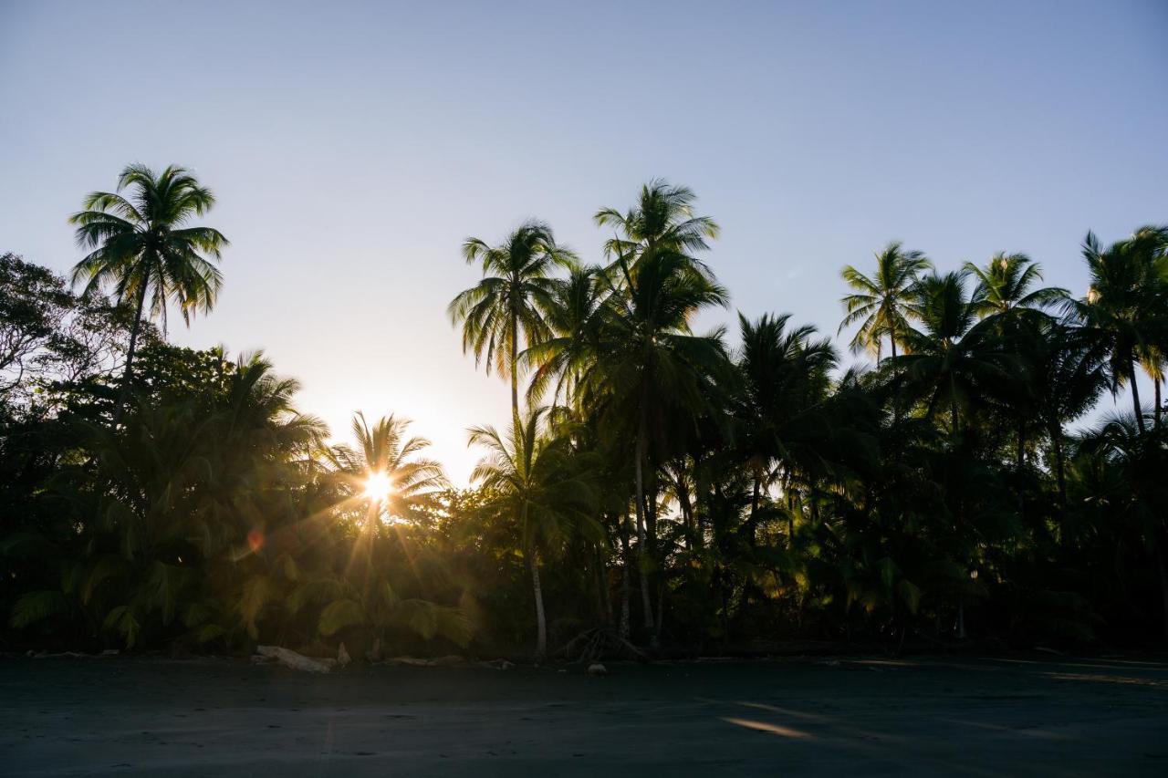 Punta Duarte Garden Inn Los Duarte Ngoại thất bức ảnh